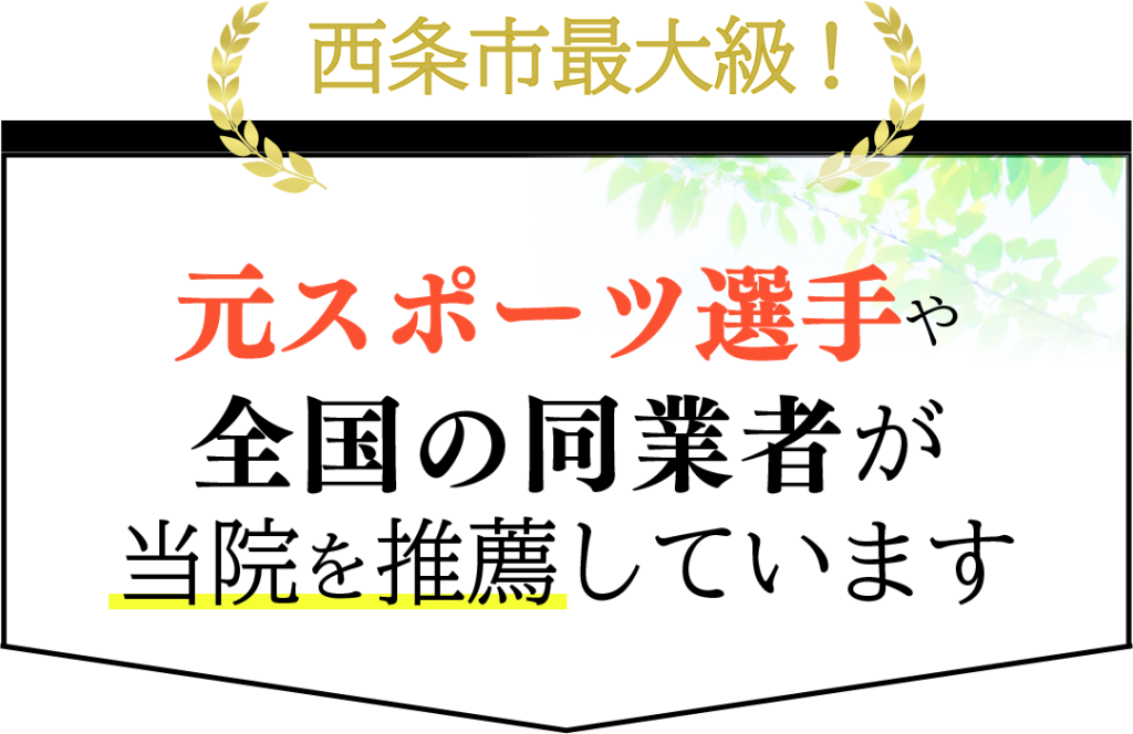 元スポーツ選手や全国の同業者が当院を推薦しています